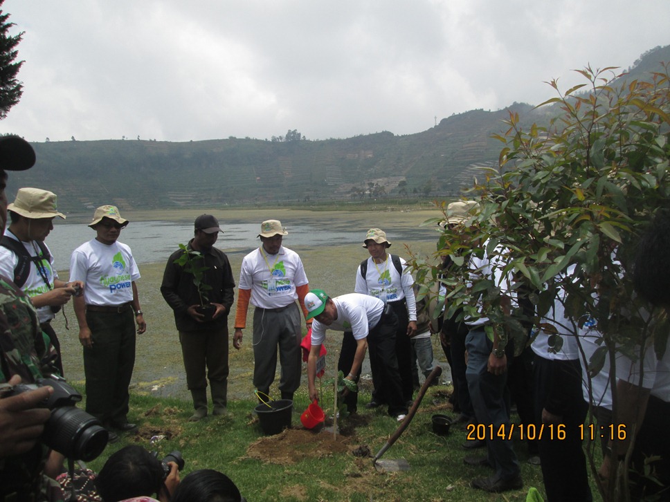 compress tanam pohon