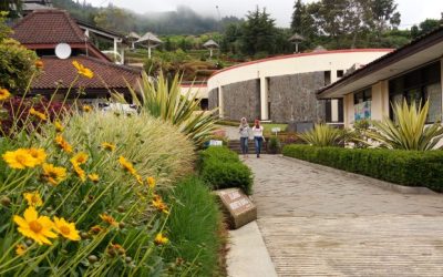 Museum Kailasa