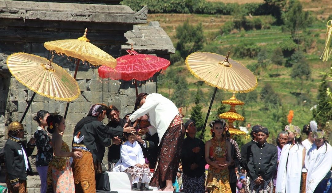 Ruwat Rambut Gimbal DCF