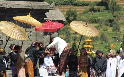 Ruwat Rambut Gimbal DCF